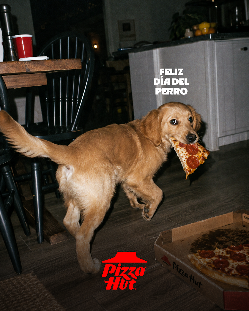 Pizza Hut Mexico Turns Stolen Slices Into Dog-Day Portraits
